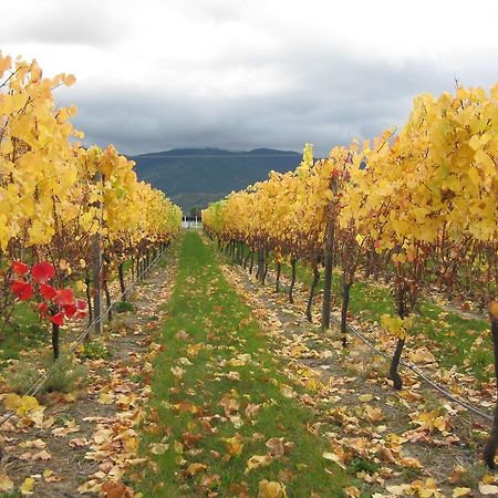 Korohi Vineyard Bnb Blenheim Exterior foto